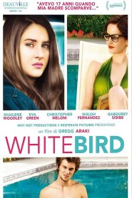 White Bird in a Blizzard [HD] (2014)