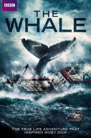 La Balena [HD] (2013)