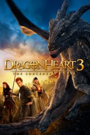 Dragonheart 3 – La maledizione dello stregone