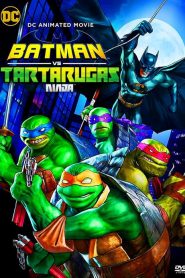 Batman vs. Teenage Mutant Ninja Turtles [HD] (2019)