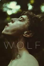 Wolf [Sub-ITA] (2021)